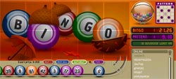 bingo bingo